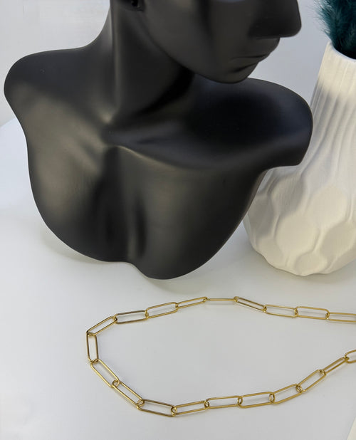 Delicate Shine Neckless
